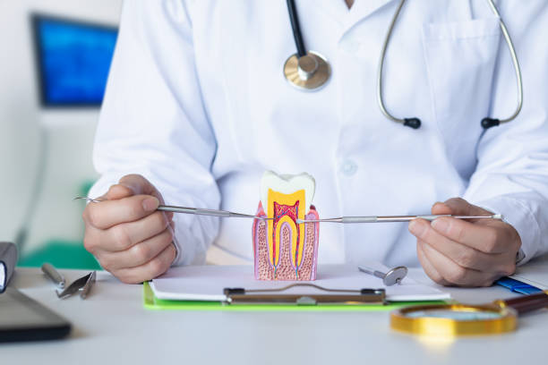 Best Knocked-Out Tooth Emergency  in Scanlon, MN